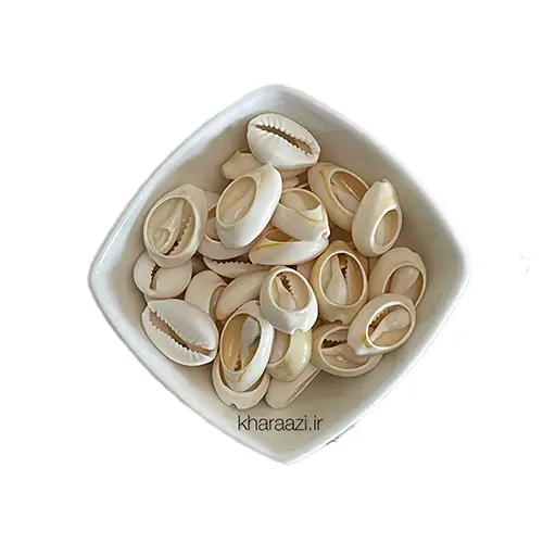 صدف دریایی