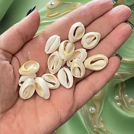 صدف دریایی