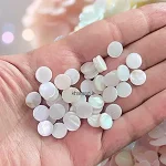 مهره صدف گرد